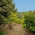 Mas Des Orangers Hébergement de vacances La Croix-Valmer